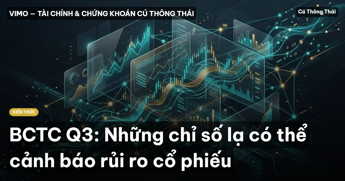 BCTC Q3: Những chỉ số lạ có thể cảnh báo rủi ro cổ phiếu