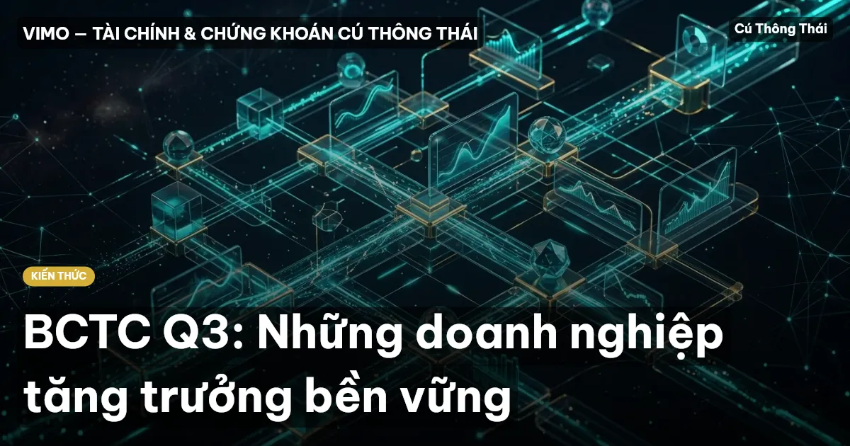 BCTC Q3: Những doanh nghiệp tăng trưởng bền vững