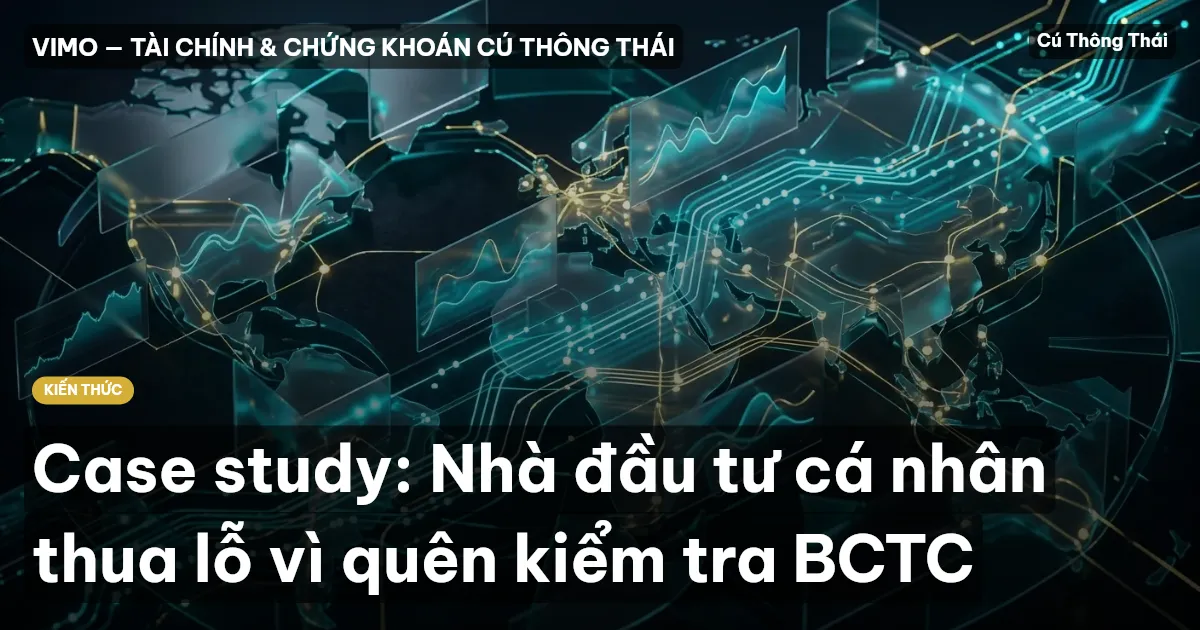 Case study: Nhà đầu tư cá nhân thua lỗ vì quên kiểm tra BCTC