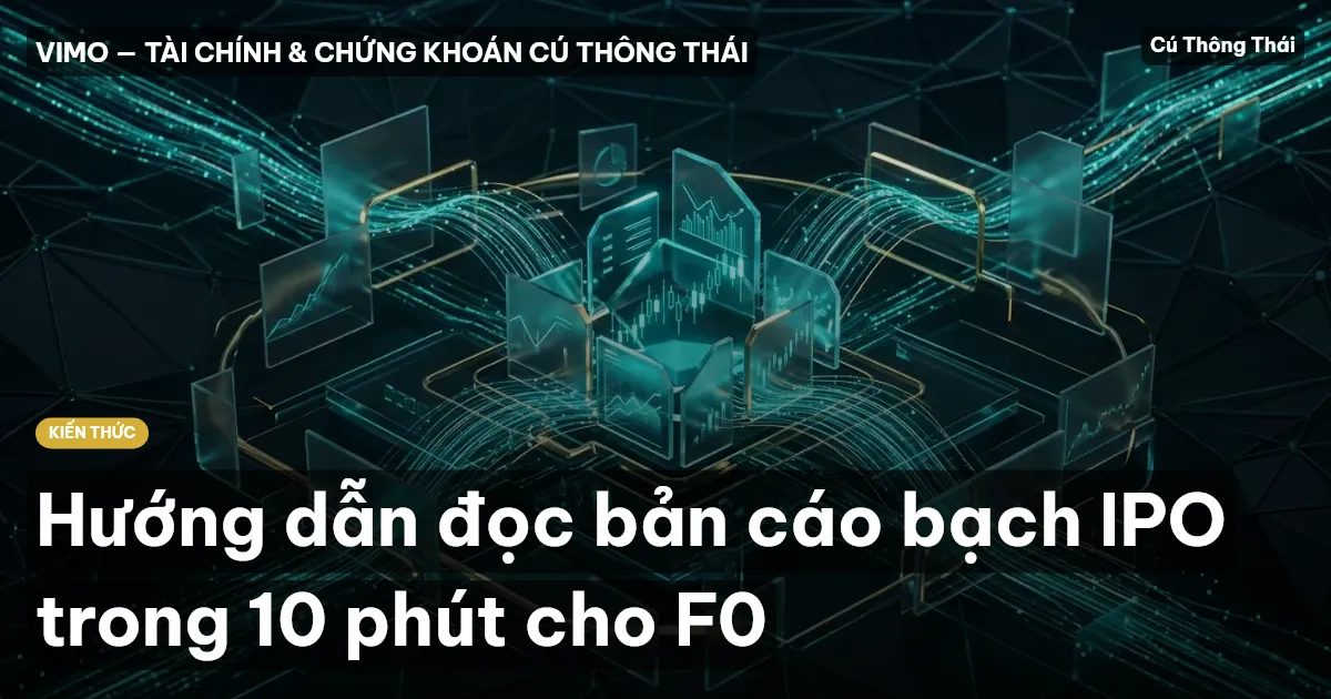 Hướng dẫn đọc bản cáo bạch IPO trong 10 phút cho F0