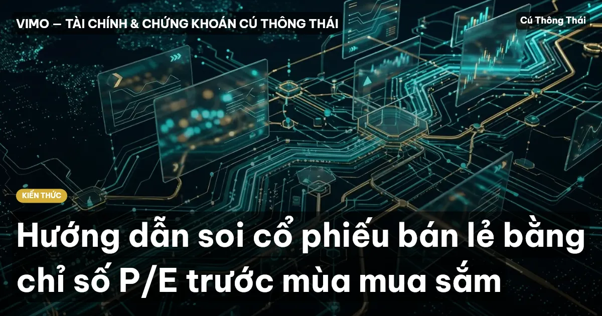 Hướng dẫn soi cổ phiếu bán lẻ bằng chỉ số P/E trước mùa mua sắm