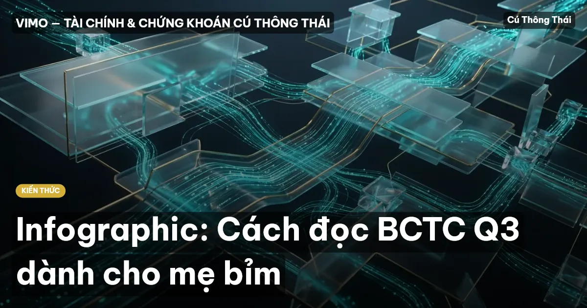 Infographic: Cách đọc BCTC Q3 dành cho mẹ bỉm