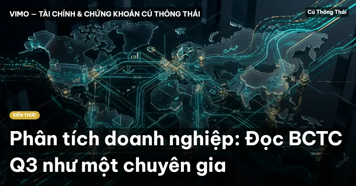 Phân tích doanh nghiệp: Đọc BCTC Q3 như một chuyên gia