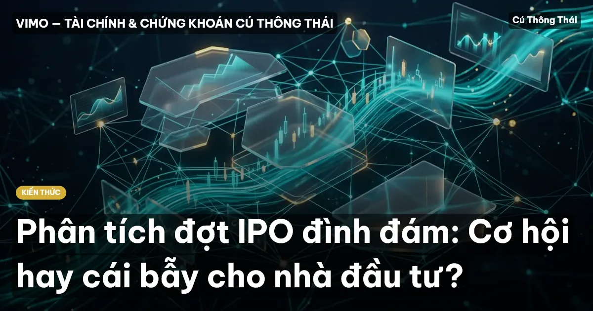 Phân tích đợt IPO đình đám: Cơ hội hay cái bẫy cho nhà đầu tư?