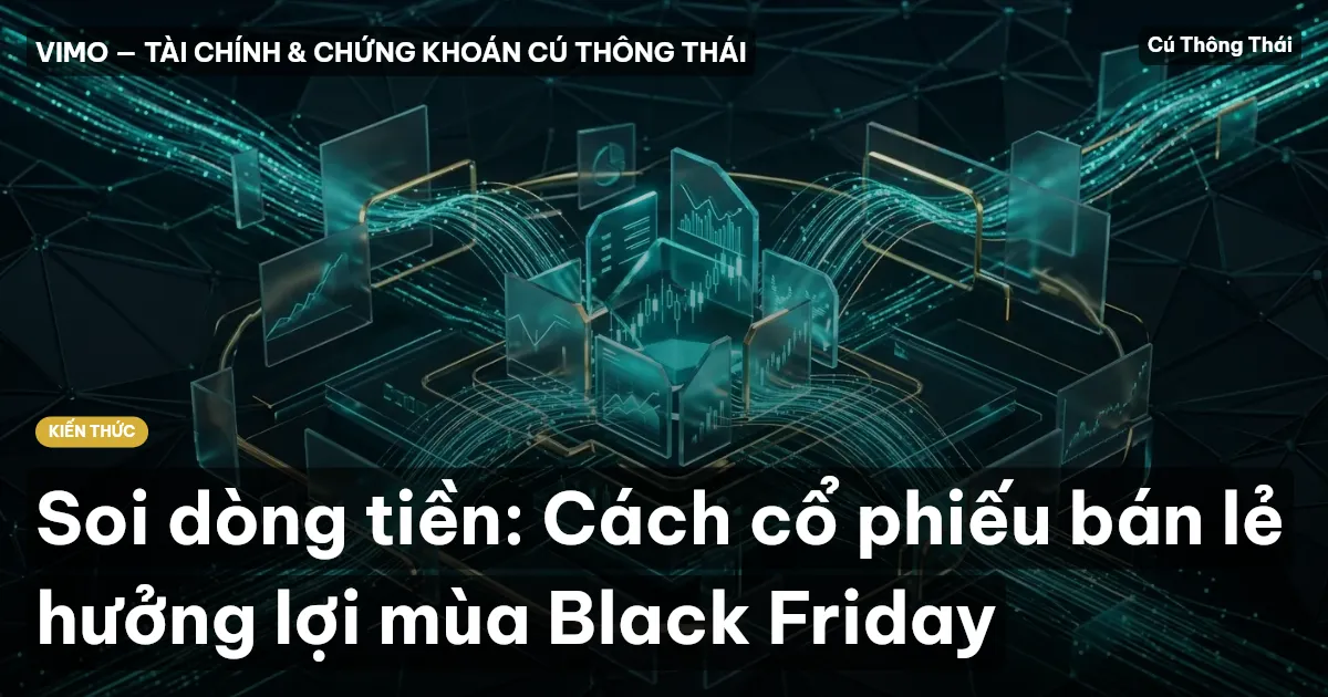 Soi dòng tiền: Cách cổ phiếu bán lẻ hưởng lợi mùa Black Friday