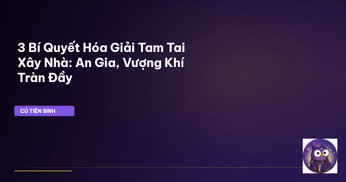 Tam Tai xây nhà
