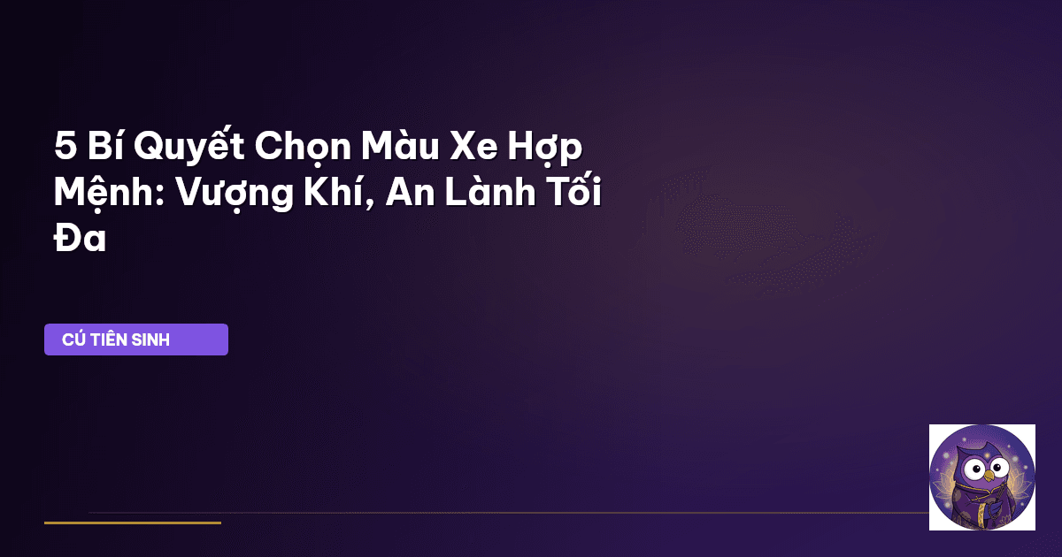 phong thủy xe hơi