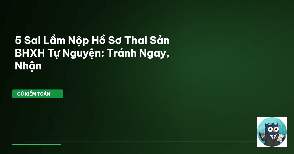 sai lầm nộp hồ sơ thai sản