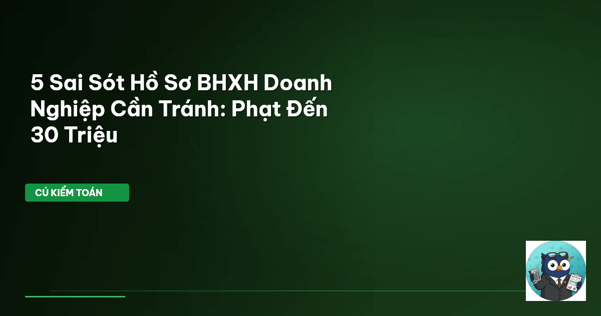 sai sót hồ sơ BHXH