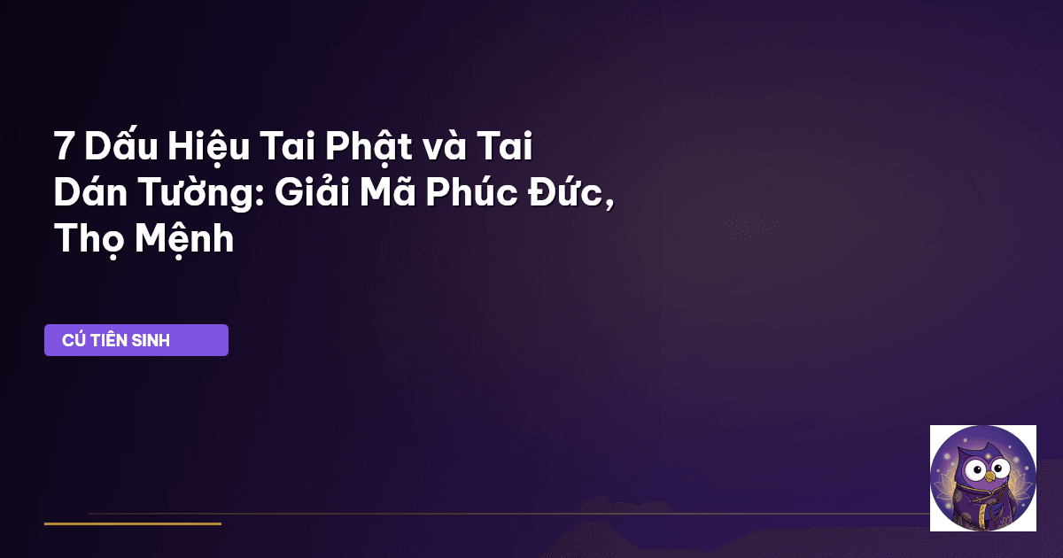 7 Dấu Hiệu Tai Phật và Tai Dán Tường: Giải Mã Phúc Đức, Thọ Mệnh