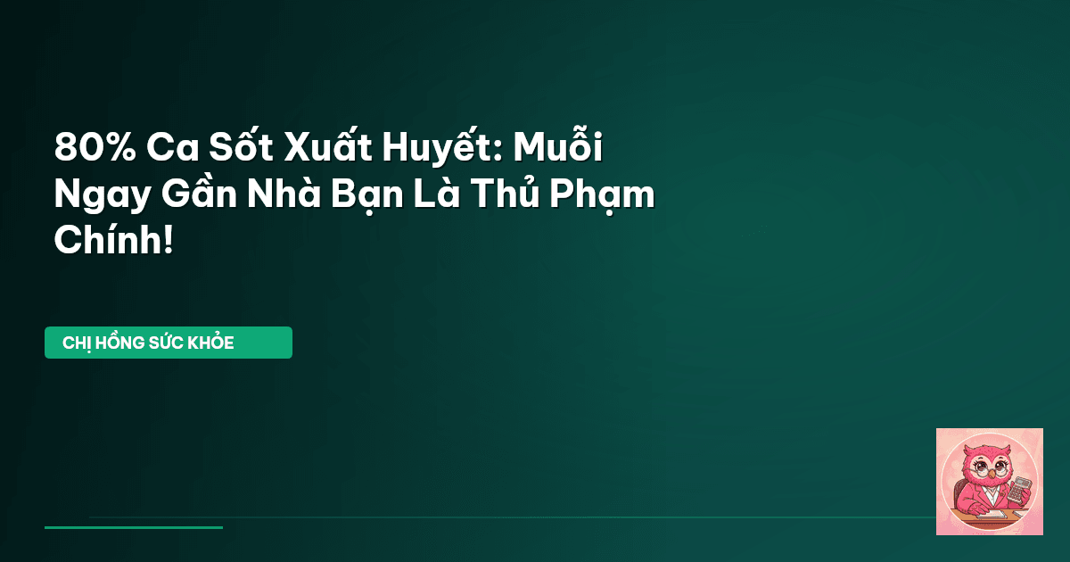 phòng tránh sốt xuất huyết