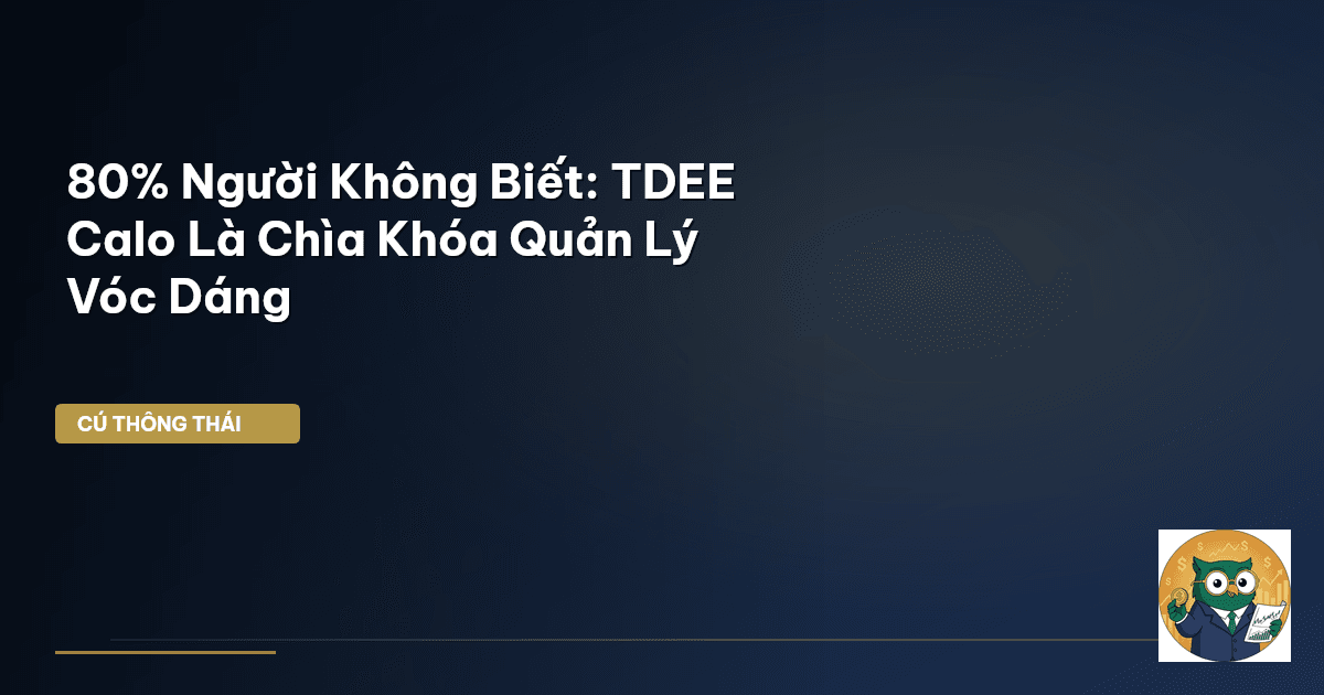 80% Người Không Biết: TDEE Calo Là Chìa Khóa Quản Lý Vóc Dáng