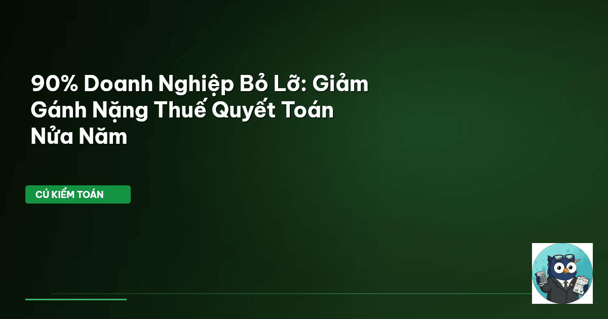 quyết toán nửa năm