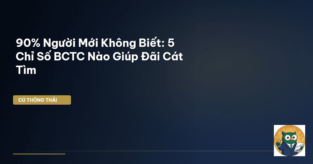 chỉ số BCTC