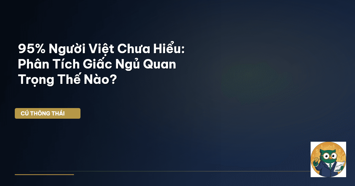 95% Người Việt Chưa Hiểu: Phân Tích Giấc Ngủ Quan Trọng Thế Nào?