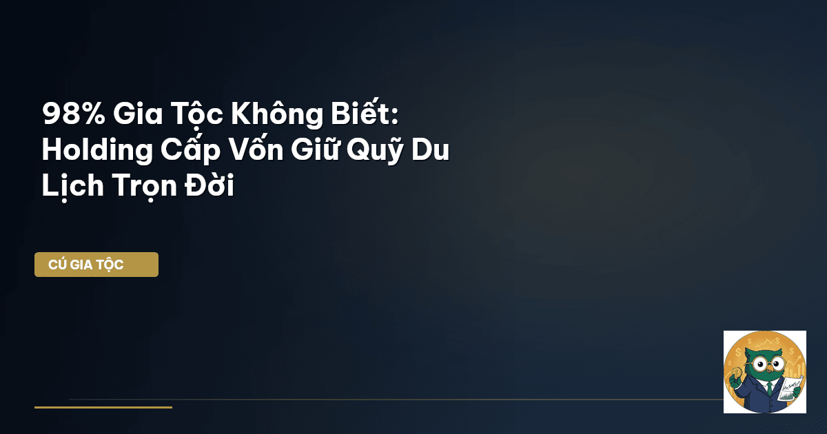 holding cấp vốn