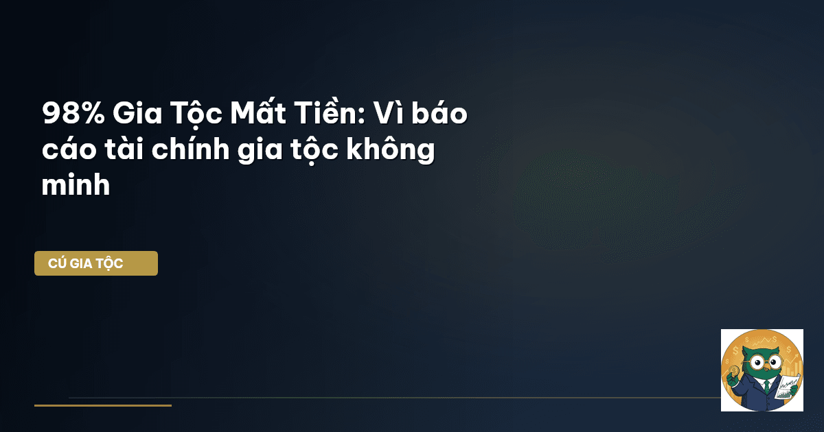 báo cáo tài chính gia tộc