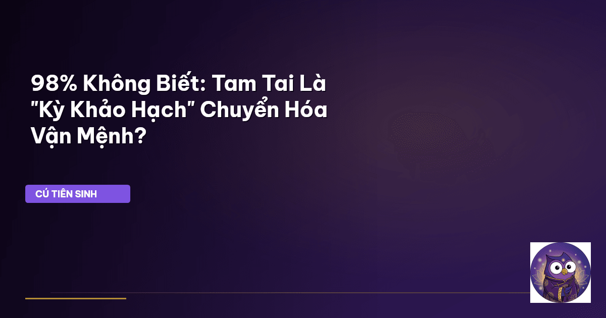 Tam Tai