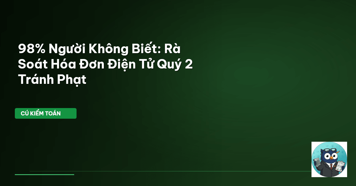 rà soát hoá đơn điện tử