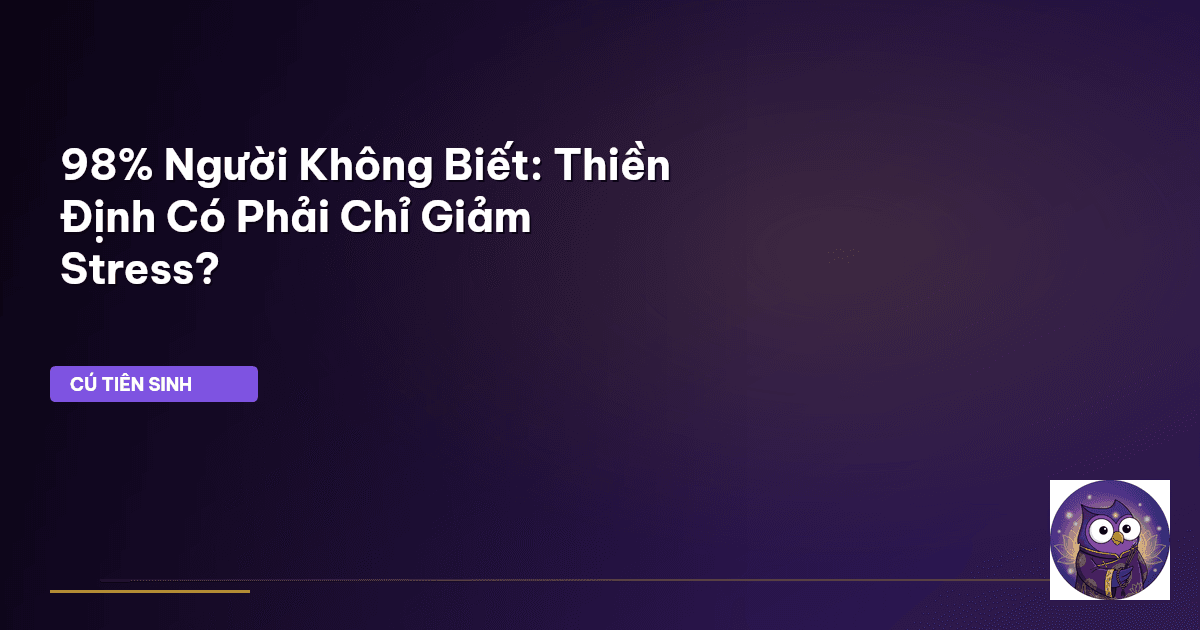 98% Người Không Biết: Thiền Định Có Phải Chỉ Giảm Stress?