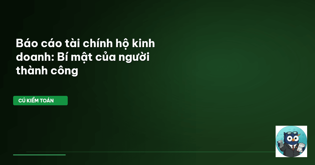 báo cáo tài chính hộ kinh doanh