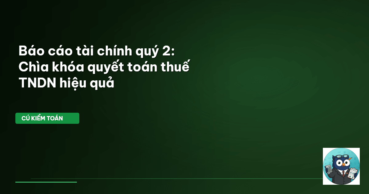 báo cáo tài chính quý 2