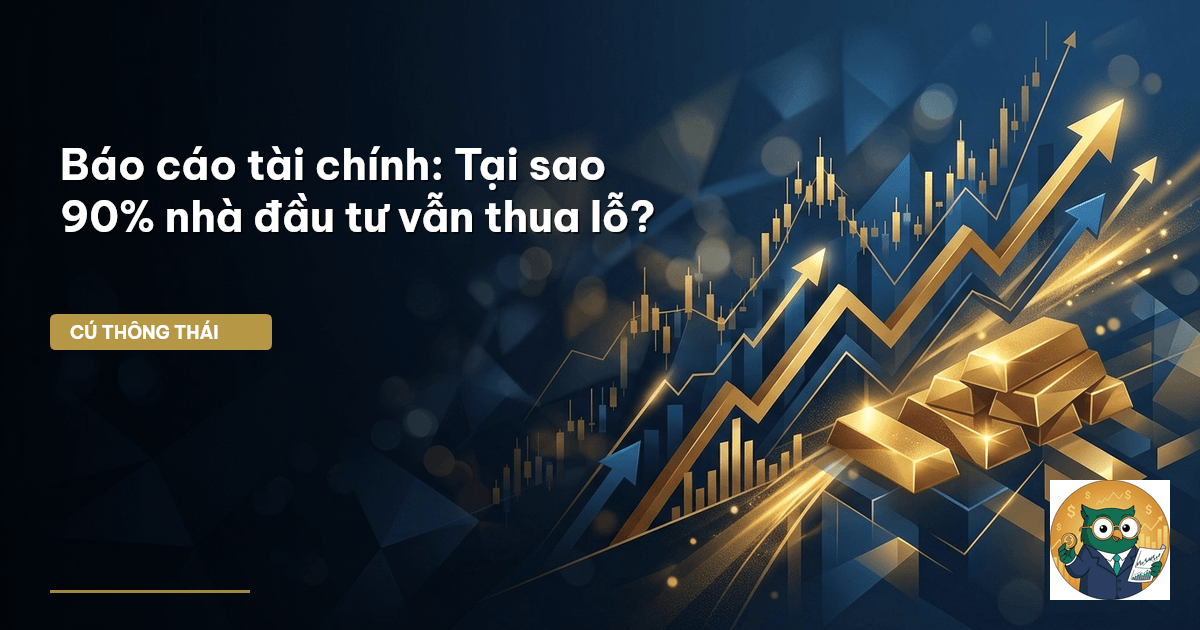 đọc báo cáo tài chính