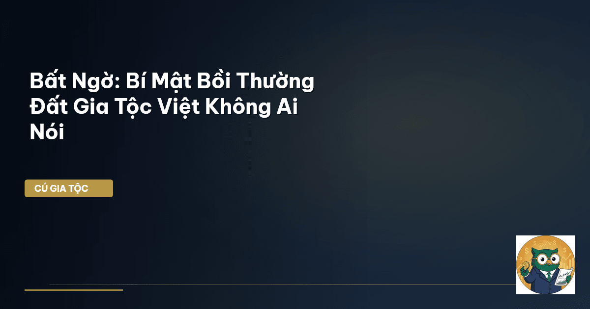Bất Ngờ: Bí Mật Bồi Thường Đất Gia Tộc Việt Không Ai Nói
