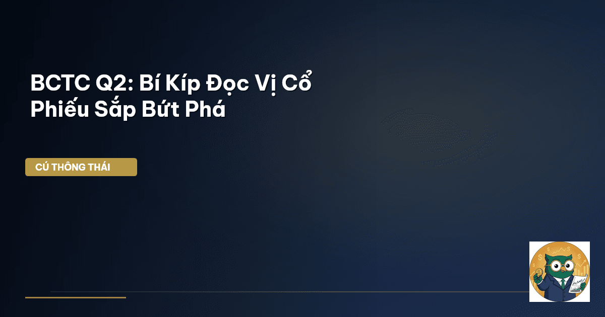 BCTC quý 2
