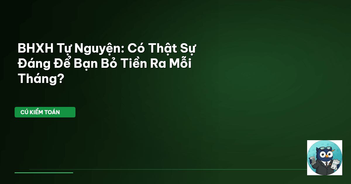 BHXH Tự Nguyện: Có Thật Sự Đáng Để Bạn Bỏ Tiền Ra Mỗi Tháng?