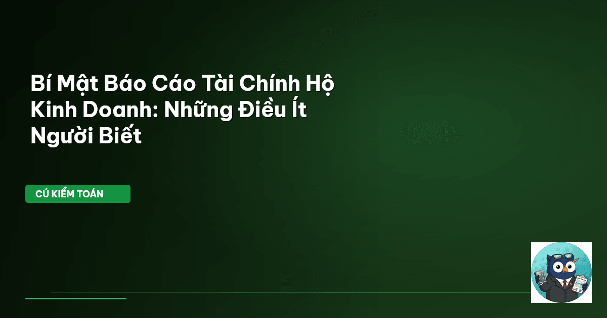 báo cáo tài chính hộ kinh doanh