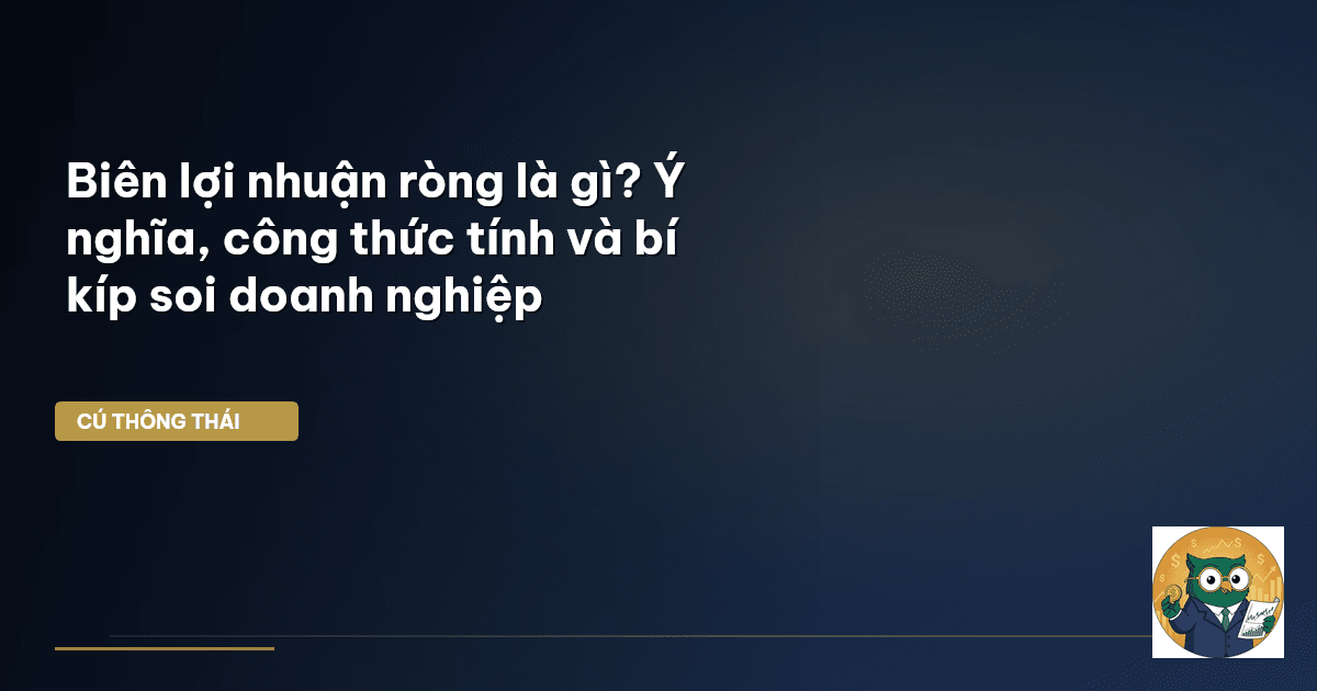 Biên lợi nhuận ròng là gì? Ý nghĩa, công thức tính và bí kíp soi doanh nghiệp