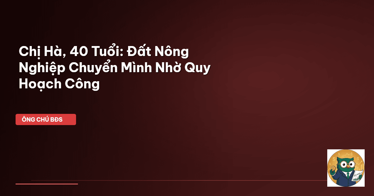 Chị Hà, 40 Tuổi: Đất Nông Nghiệp Chuyển Mình Nhờ Quy Hoạch Công