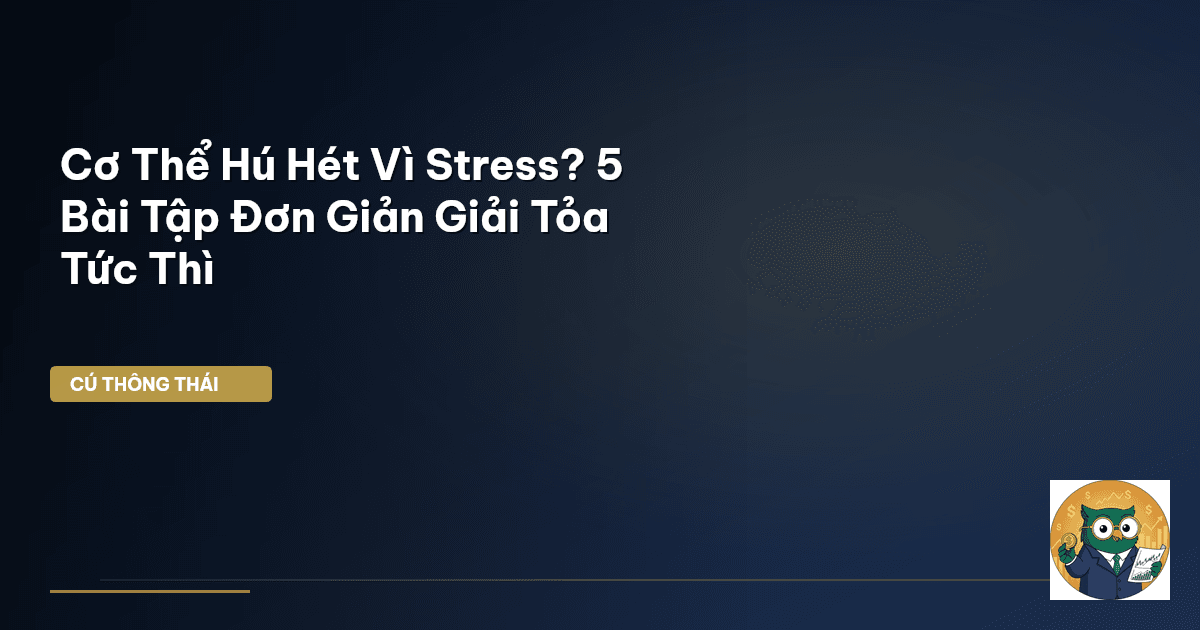 Cơ Thể Hú Hét Vì Stress? 5 Bài Tập Đơn Giản Giải Tỏa Tức Thì