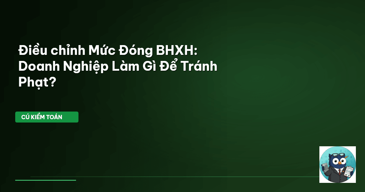 điều chỉnh bhxh