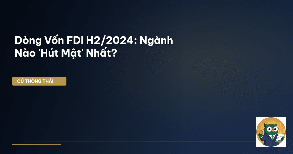 FDI H2/2024