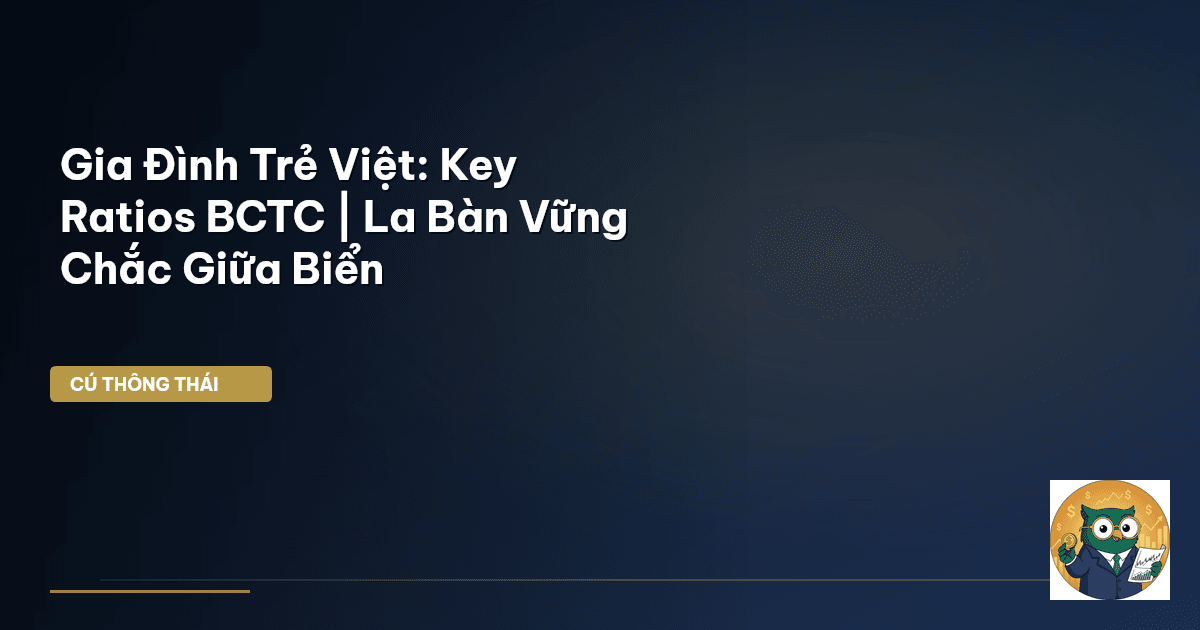 Key Ratios BCTC gia đình