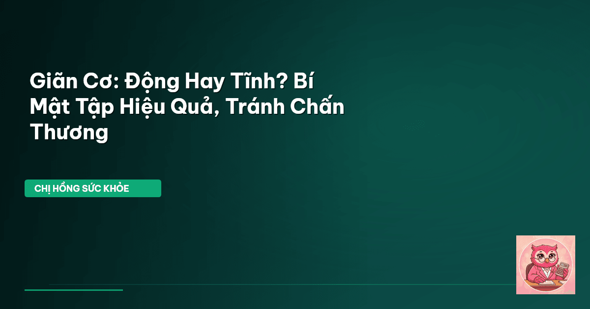 Giãn Cơ: Động Hay Tĩnh? Bí Mật Tập Hiệu Quả, Tránh Chấn Thương