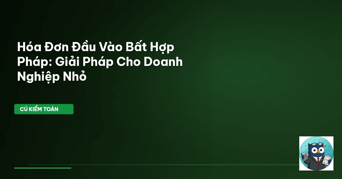 hóa đơn đầu vào