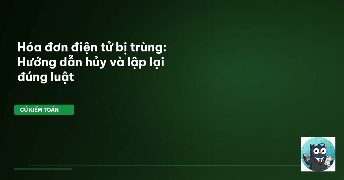 hóa đơn điện tử bị trùng
