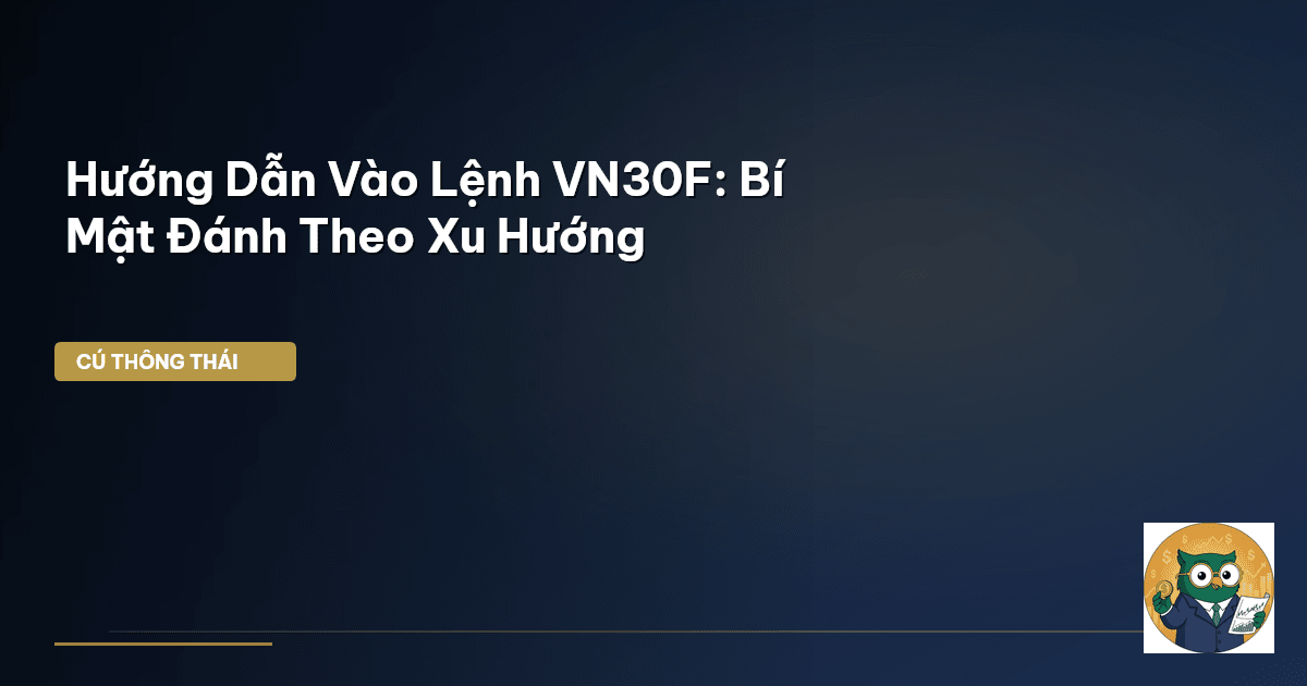 VN30F