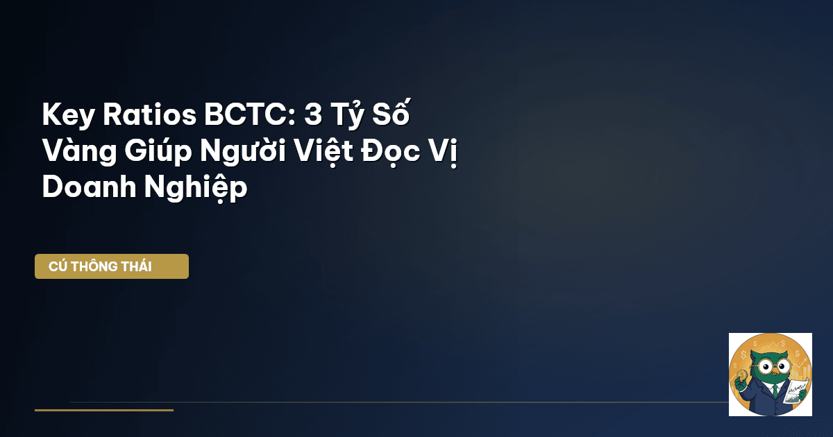 Key Ratios BCTC: 3 Tỷ Số Vàng Giúp Người Việt Đọc Vị Doanh Nghiệp