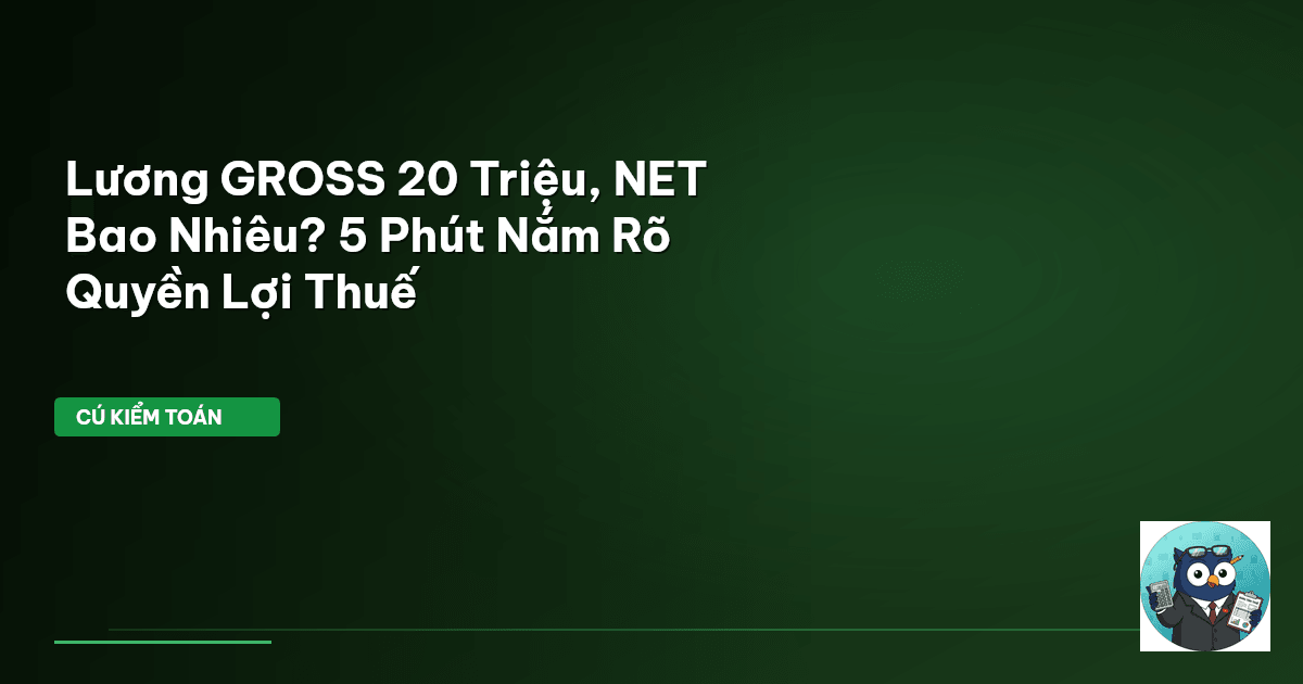 Lương GROSS 20 Triệu, NET Bao Nhiêu? 5 Phút Nắm Rõ Quyền Lợi Thuế