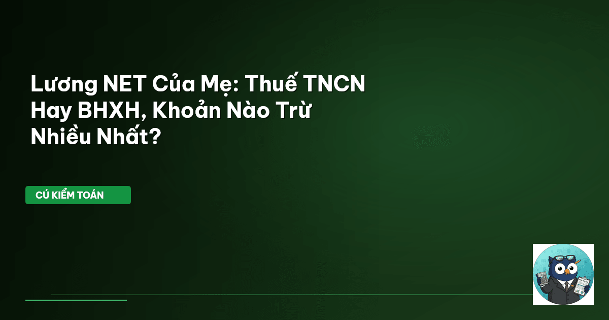 Lương NET Của Mẹ: Thuế TNCN Hay BHXH, Khoản Nào Trừ Nhiều Nhất?
