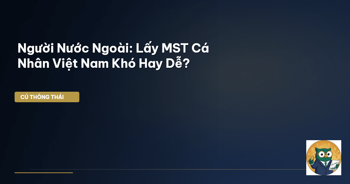 Người Nước Ngoài: Lấy MST Cá Nhân Việt Nam Khó Hay Dễ?