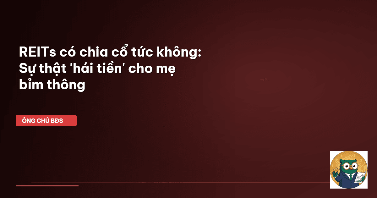 REITs có chia cổ tức không: Sự thật 'hái tiền' cho mẹ bỉm thông
