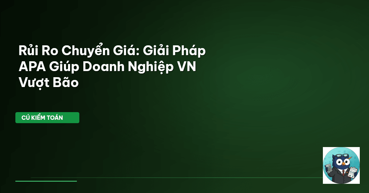 Rủi Ro Chuyển Giá: Giải Pháp APA Giúp Doanh Nghiệp VN Vượt Bão