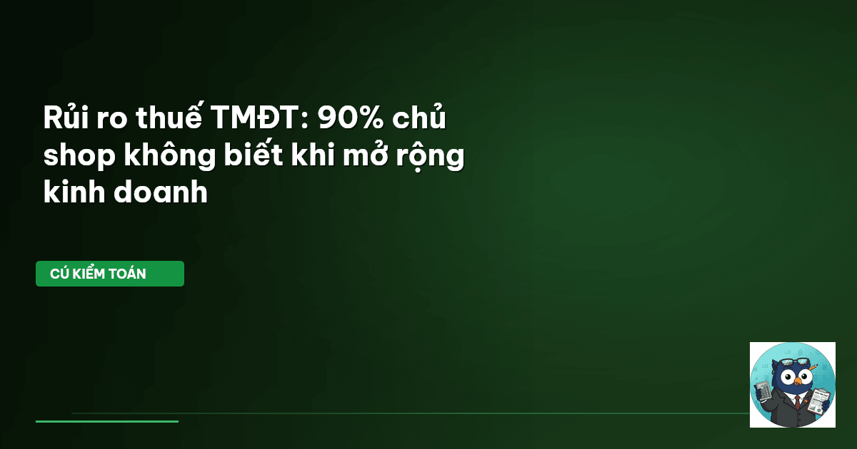 rủi ro thuế TMĐT
