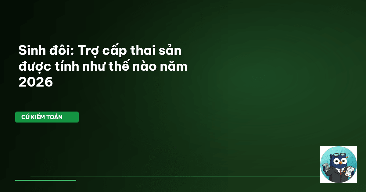 trợ cấp thai sản