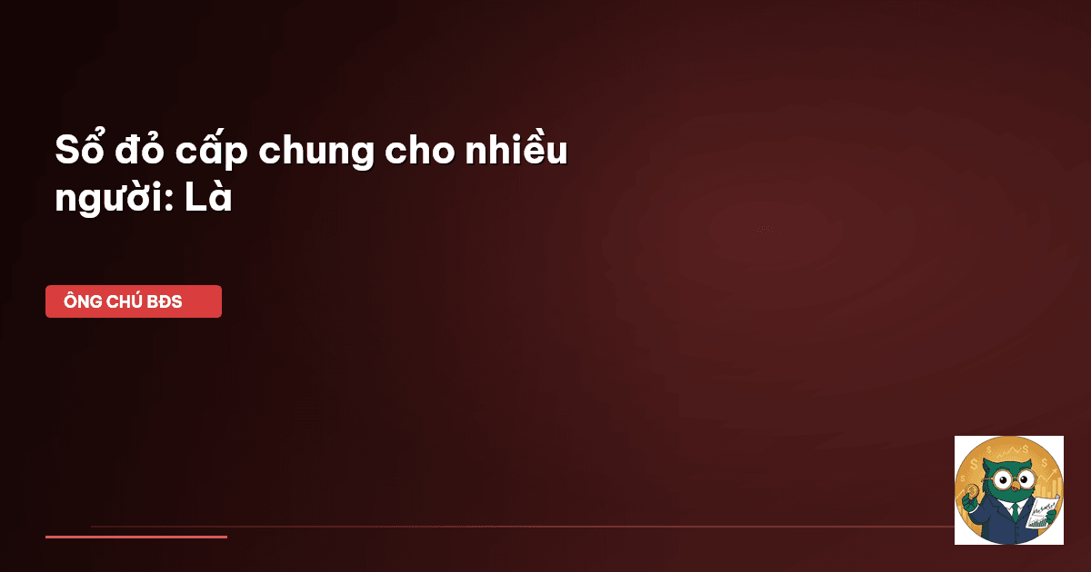 Sổ đỏ cấp chung cho nhiều người: Là